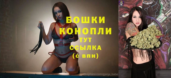 дмт Богородицк
