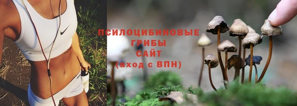 винт Беломорск