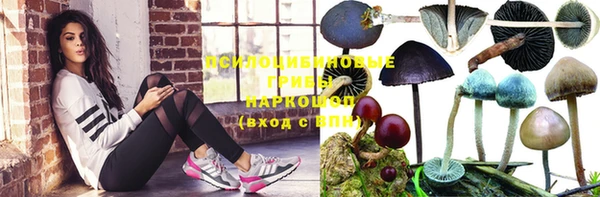 марки lsd Белоозёрский