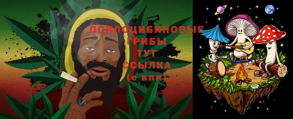 прущая мука Белокуриха